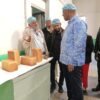 Governo quer reforço da produção interna na indústria panificadora