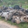 Inhambane: Secretaria do Estado  lamenta morte de 24 pessoas em acidente na N1