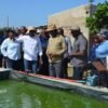 Província de Maputo coloca-se na vanguarda da modernização da piscicultura