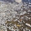 Autoridades encontram vestígios de substâncias no rio Loreco na província do Niassa