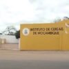 ICM levanta suspensão da África Indústria e autoriza retoma das importações de arroz